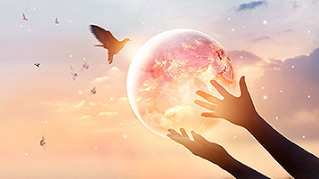 FUN88��������(�й���)�ٷ���վ